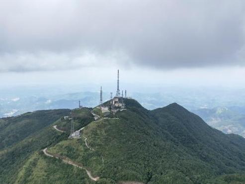  广东大雾岭林场探索盘活林地资源