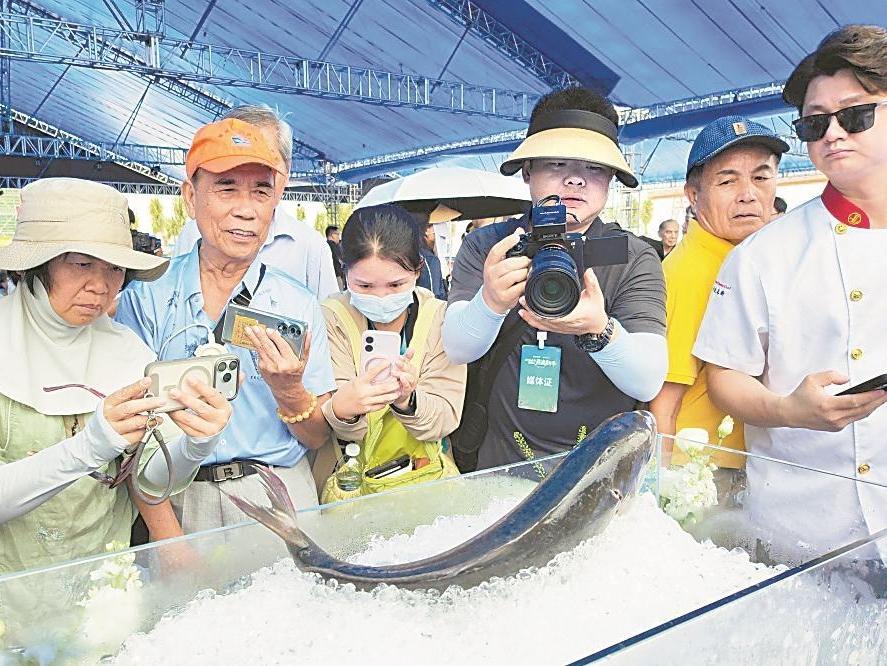  千帆竞发牧海 八方游客逐鲜——广东各地将开渔盛事办成暑期文旅嘉年华，铺展海洋经济新蓝图