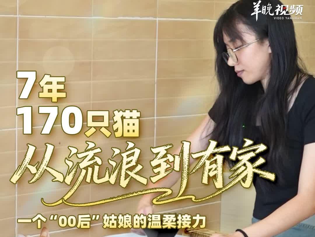 7年、170只猫、从流浪到有家——一个“00后”姑娘的温柔接力