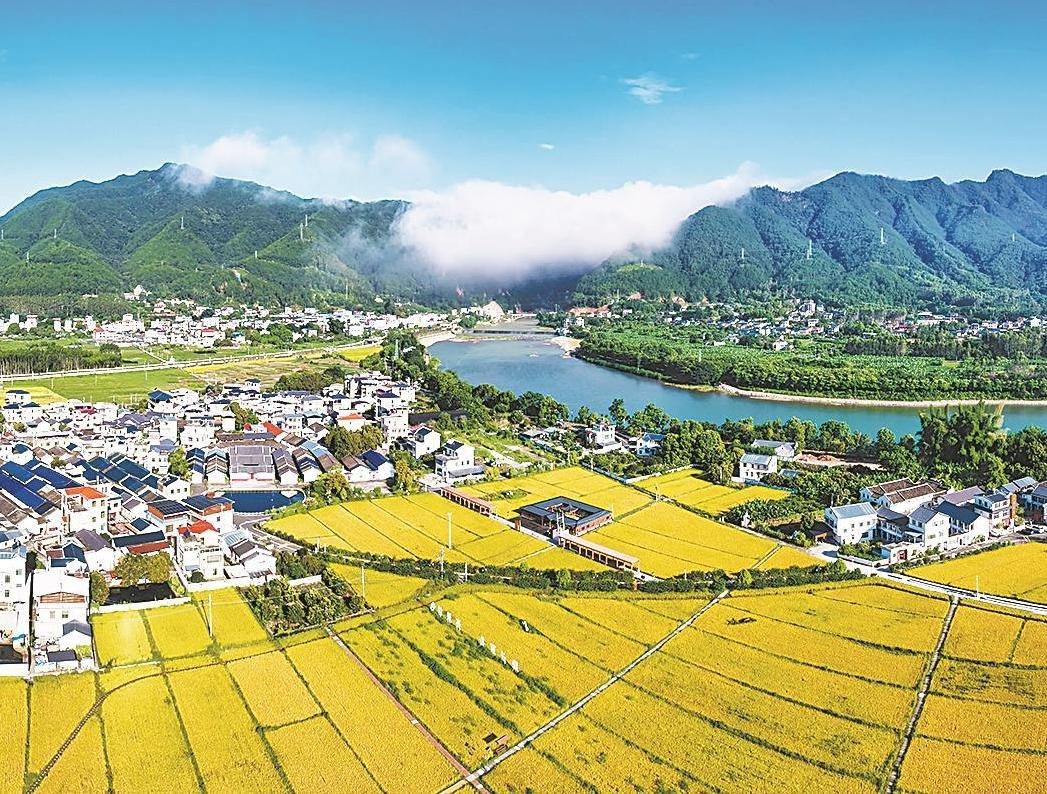 广东全域土地综合整治中 凝结全省各级政协智慧力量