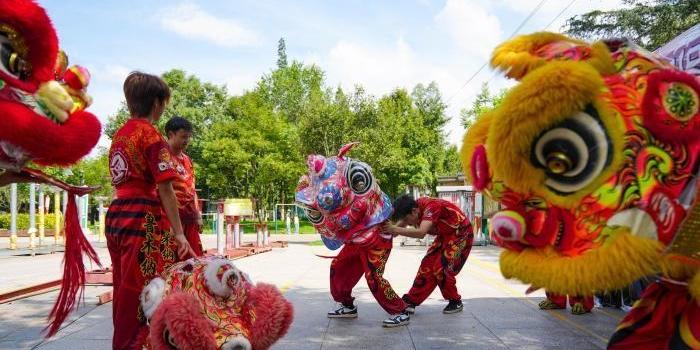 龙腾狮跃“舞”出多彩暑期生活