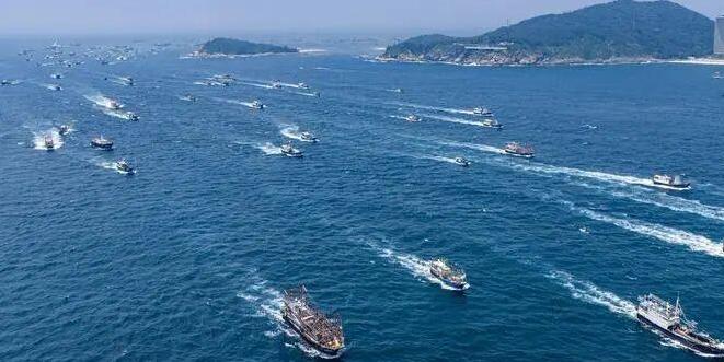  大美岭南 | 阳江：鱼跃南海  万里归鲜