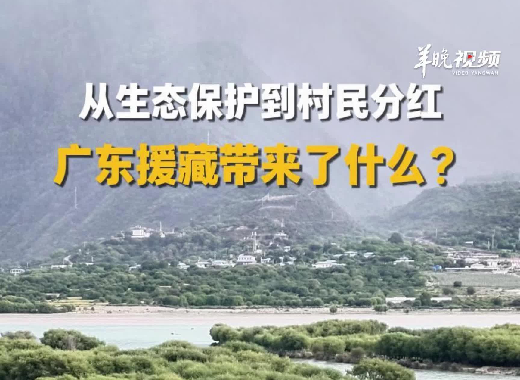 从村庄焕新到万元分红，广东援藏带来了哪些变化？｜走进藏博会