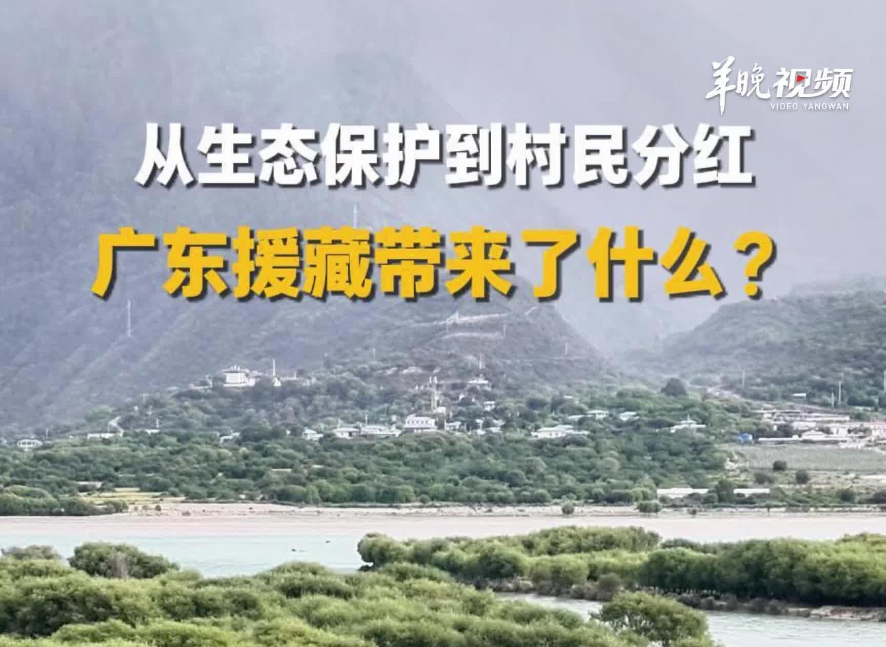  从村庄焕新到万元分红，广东援藏带来了哪些变化？｜走进藏博会