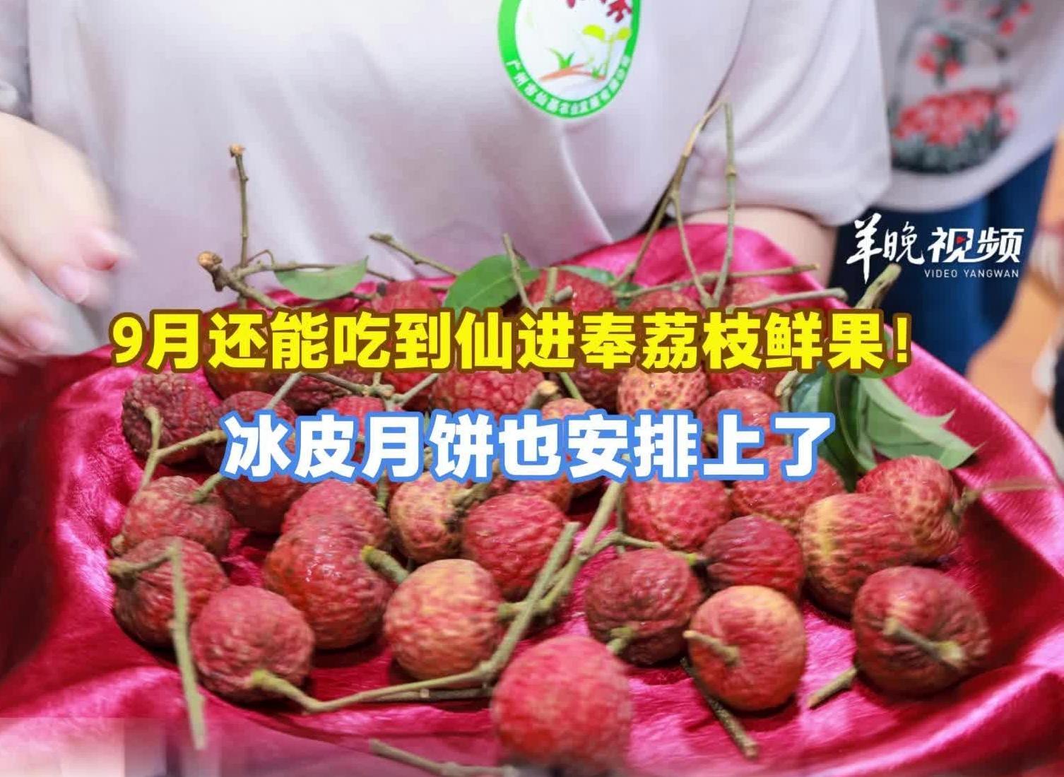 9月还能吃到广州仙进奉荔枝鲜果!冰皮月饼也安排上了