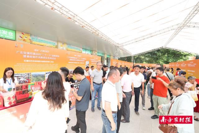 “广货”“桂品”携手出圈!广东驻镇帮镇扶村“三个一千”消费帮扶暨粤桂协作