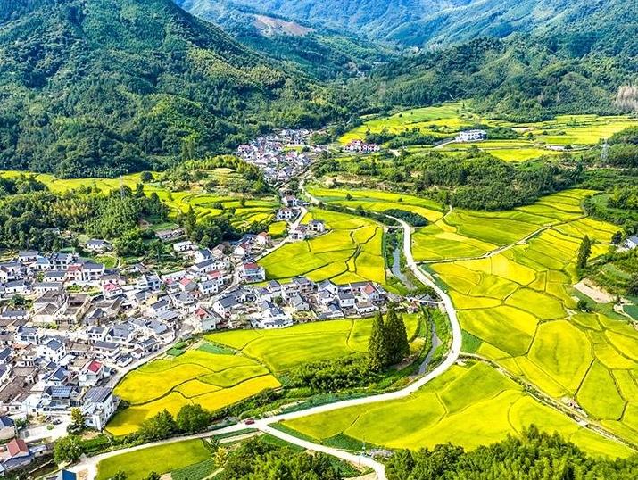 秋日乡村 丰收画卷