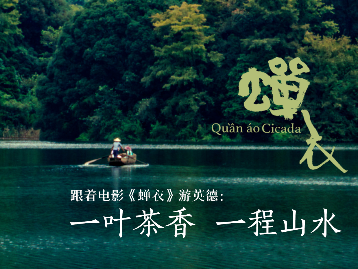 大美岭南|跟着电影《蝉衣》游英德:一叶茶香 一程山水