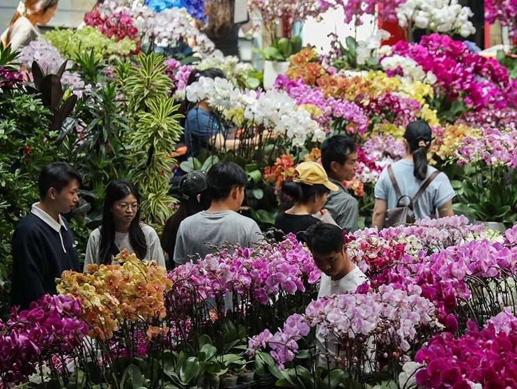假期花市人气旺