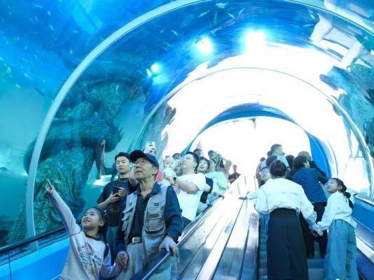 服务区变身“水族馆”引客来