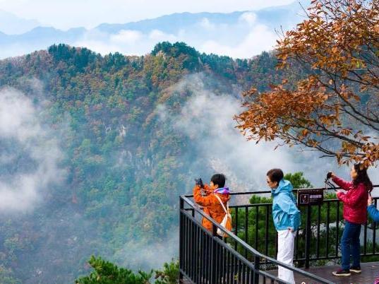 河南老界岭霜降时节现绝美云海