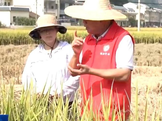 粤桂优化协作 助力乡村全面振兴