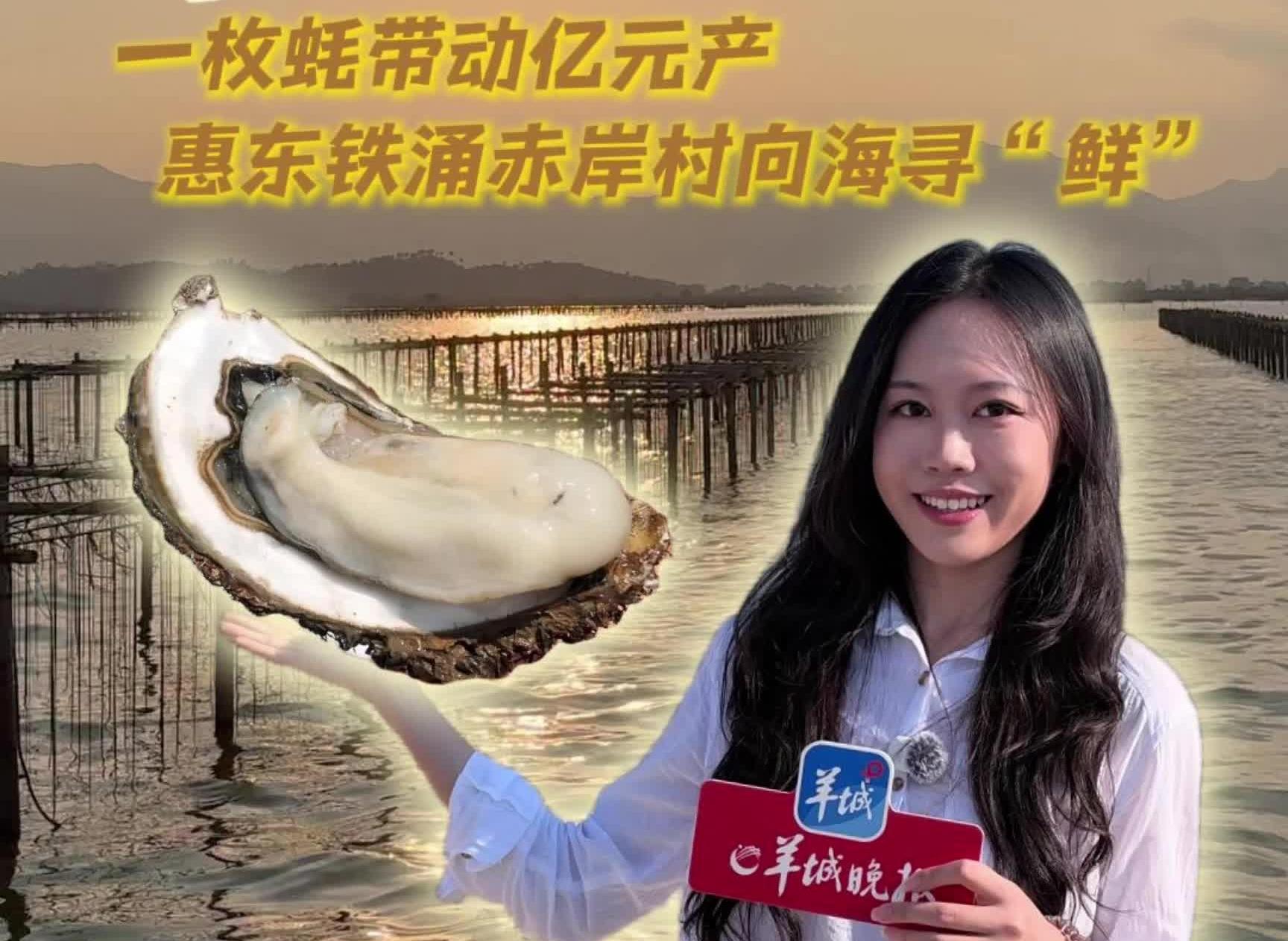 “蚝”有“钱”景!一枚蚝带动亿元产业,惠东铁涌赤岸村如何向海寻“鲜”?