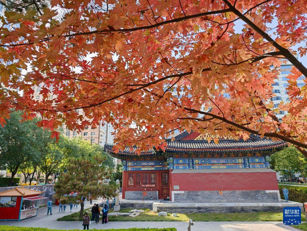 北京秋渐浓